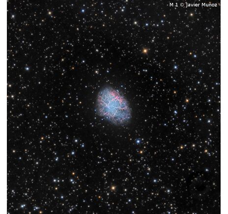 Omegon Pro RC 154/1370 - Ritchey-Chrétien, image-3