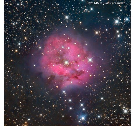 Omegon Pro RC 203/1624 - Ritchey-Chrétien, image-4