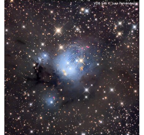 Omegon Pro RC 203/1624 - Ritchey-Chrétien, image-9