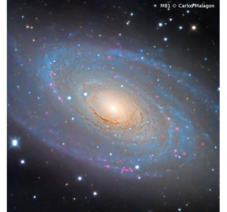 Omegon Pro RC 250/2000 - Ritchey-Chrétien, image-10