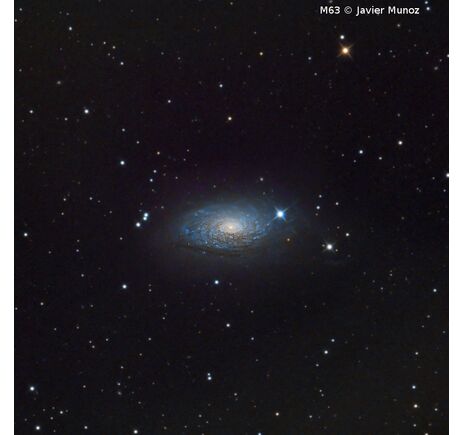 Omegon Teleskop Pro Ritchey-Chretien RC 154/1370 EQ6-R Pro, image-8