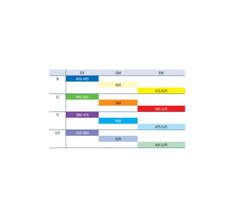 Euromex Mikroskop BS.3153-PLFi, trinokulárny, 40x–1000x, image-4