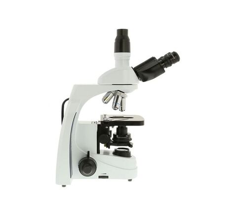 Euromex Mikroskop iScope IS.1153-PLi, trinokulárny, image-2