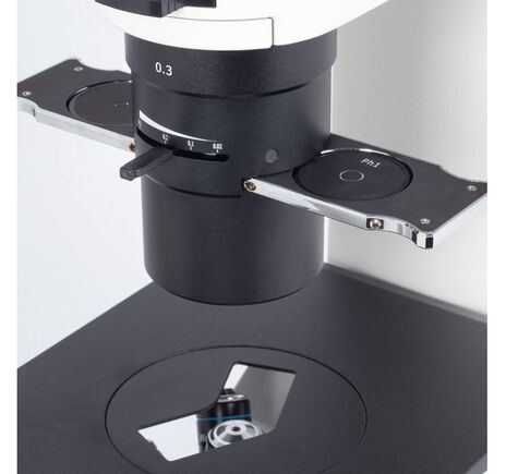 Motic Inverzný mikroskop AE2000, binokulárny, infinity, 40×–200×, fázový kontrast, halogén 30W, image-3