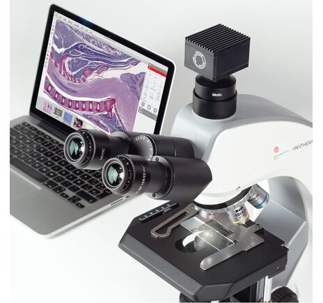 Motic Mikroskop Panthera C2, trinokulárny (bez 100× objektívu), infinity, plan achromatický, 40×–400×, halogén/LED, image-6