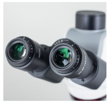 Motic Mikroskop Panthera C2, trinokulárny, infinity, plan achromatický, 40×–1000×, 10×/22 mm, halogén/LED, image-4