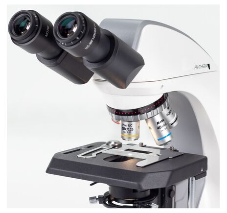 Motic Mikroskop Panthera DL, binokulárny, digitálny, infinity, plan achromatický, 40×–1000×, 10×/22 mm, halogén/LED, Wi-Fi, 4 MP, image-2