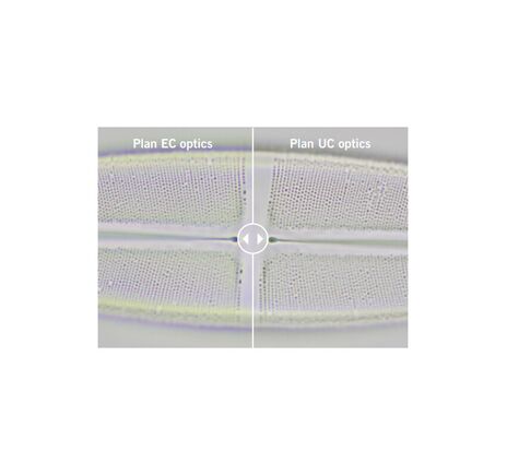 Motic Mikroskop Panthera E2, trinokulárny, HF, infinity, plan-achromatický, 40×–1000×, pevný Köhler, LED, image-7