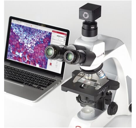 Motic Mikroskop Panthera E2, trinokulárny, HF, infinity, plan-achromatický, 40×–1000×, pevný Köhler, LED, image-6