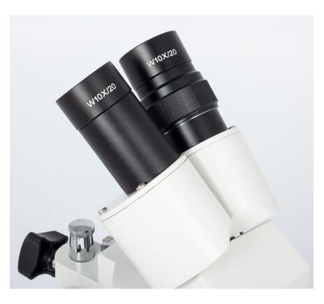 Motic Stereomikroskop ST-30C-2LOO, 20×/40×, image-4