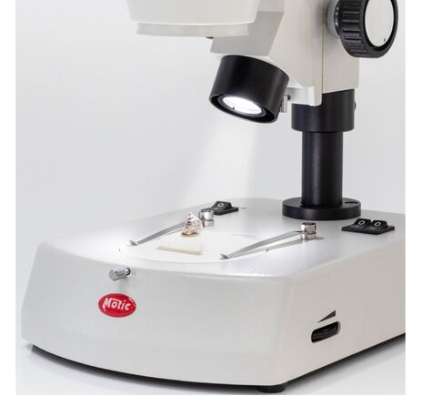 Motic Zoom-stereomikroskop SMZ-160-BLED, binokulárny, LED, 0,75×–4,5×, image-2