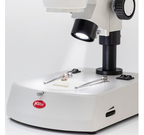 Motic Zoom-stereomikroskop SMZ-160-TLED, binokulárny, LED, 0,75×–4,5×, image-3