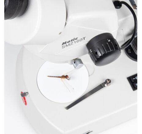 Motic Zoom-stereomikroskop SMZ-160-TLED, binokulárny, LED, 0,75×–4,5×, image-2
