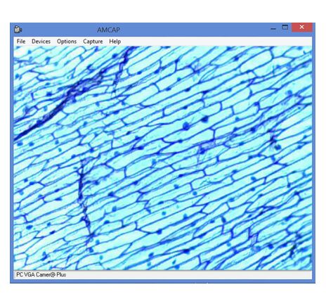 Omegon Mikroskop MonoView MicroStar, achromatický, 1280×, LED, image-8
