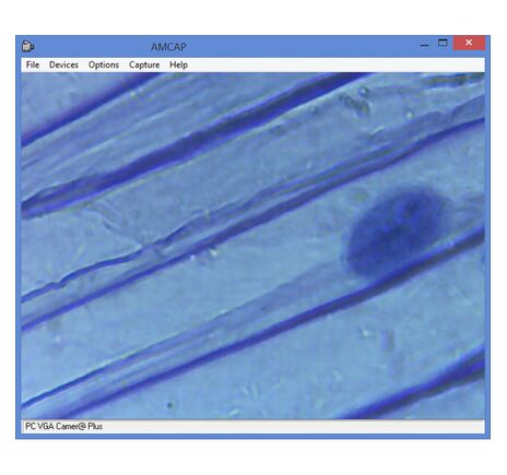 Omegon Mikroskop MonoView MicroStar, achromatický, 1280×, LED, image-10