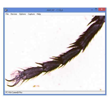 Omegon Mikroskop MonoView MicroStar, achromatický, 1280×, LED, image-6