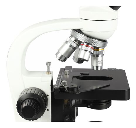 Omegon Mikroskop BioMon, 40×–1000×, LED, image-10