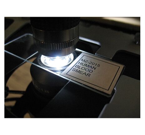 Optika Mikroskop B-383DK, trinokulárny, darkfield, N-PLAN, 100× W-PLAN, 40×–1000×, image-3