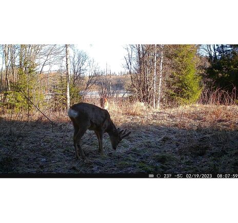 Fotopasca Hikmicro M15, image-9