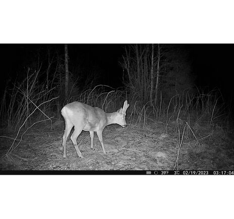 Fotopasca Hikmicro M15, image-10