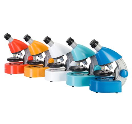 Levenhuk Discovery Micro mikroskop so vzdelávacou publikáciou, image-2