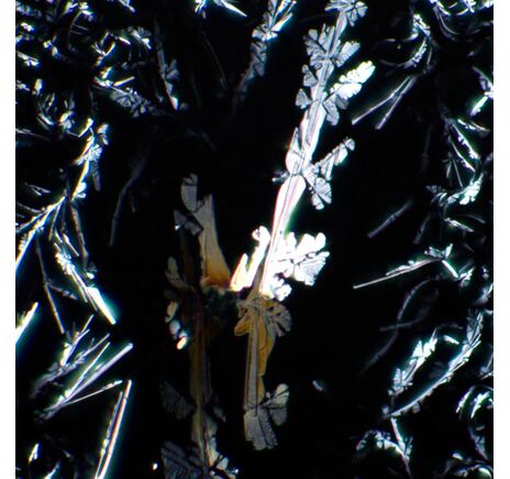 Súprava polarizátora/analyzátora MAGUS SPD1, image-7