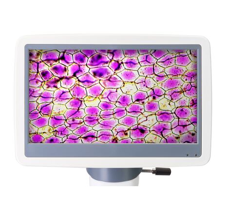 Digitálny mikroskop Levenhuk D85L LCD, monokulárny, image-5