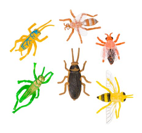 Levenhuk LabZZ SK30 sada na prežitie, image-14