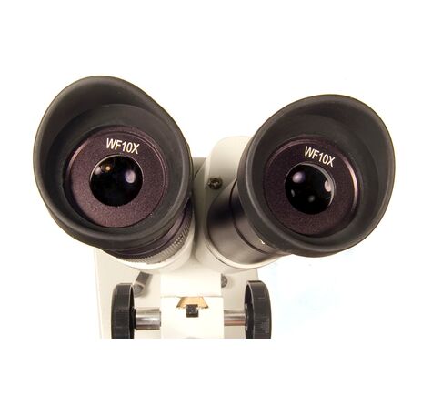 Mikroskop Levenhuk 2ST, binokulárny, image-2