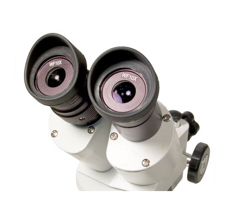 Mikroskop Levenhuk 3ST, binokulárny, image-2