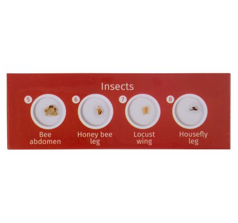 Sada hotových živočišných a rastlinných preparátov Levenhuk LabZZ CP24, image-2