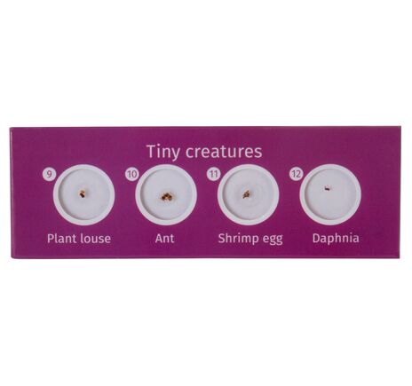 Sada hotových živočišných a rastlinných preparátov Levenhuk LabZZ CP24, image-3