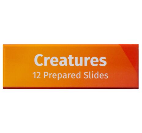 Sada hotových živocišných preparátov Levenhuk LabZZ C12, image-7