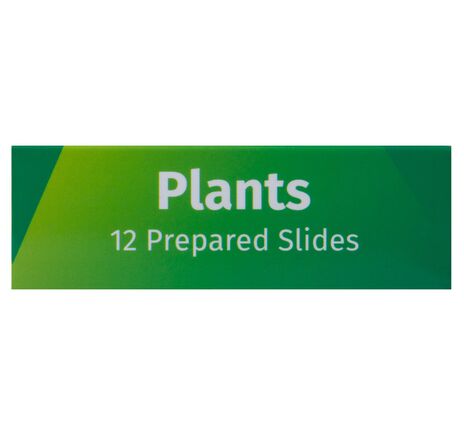 Sada hotových rastlinných preparátov Levenhuk LabZZ P12, rastliny, image-8