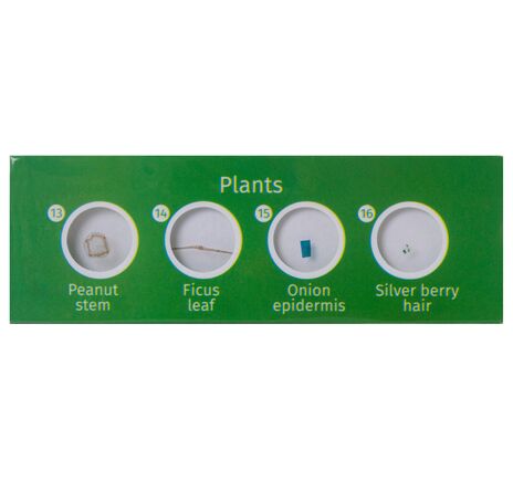 Sada hotových živočišných a rastlinných preparátov Levenhuk LabZZ CP24, image-4