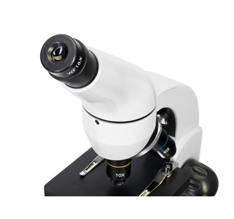 Levenhuk Rainbow D50L PLUS 2M Moonstone digitálny mikroskop, image-8