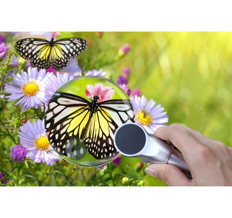 Levenhuk Zeno 400 s LED osvetlením 2/4x 88/21 mm kov lupa, image-6