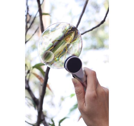 Levenhuk Zeno 400 s LED osvetlením 2/4x 88/21 mm kov lupa, image-8