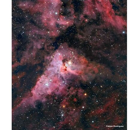 Meade LX850 12'' F/8 ACF OTA teleskop, image-7