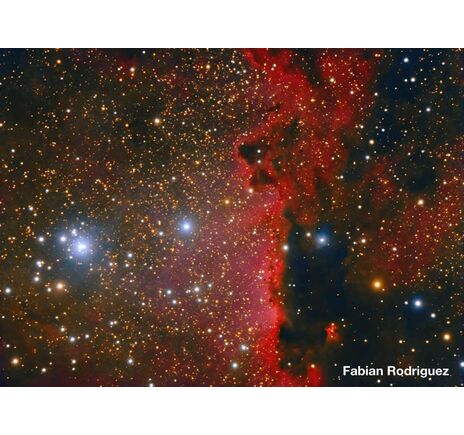 Meade LX850 12'' F/8 ACF OTA teleskop, image-9