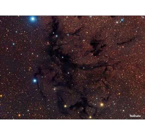 Meade LX200 14'' F/10 ACF OTA teleskop, image-3