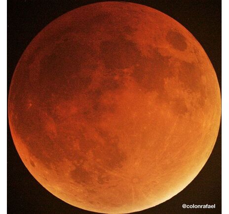 Meade LX200 14'' F/10 ACF OTA teleskop, image-4