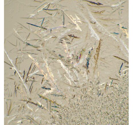 MAGUS Bio 230T, image-21