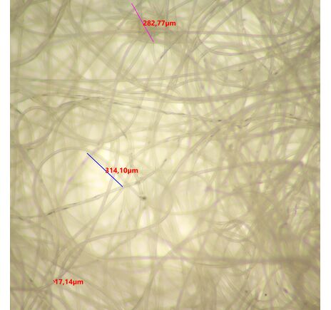 MAGUS Stereo 9T, image-19