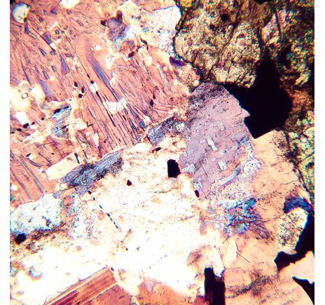 MAGUS Pol 800, image-15