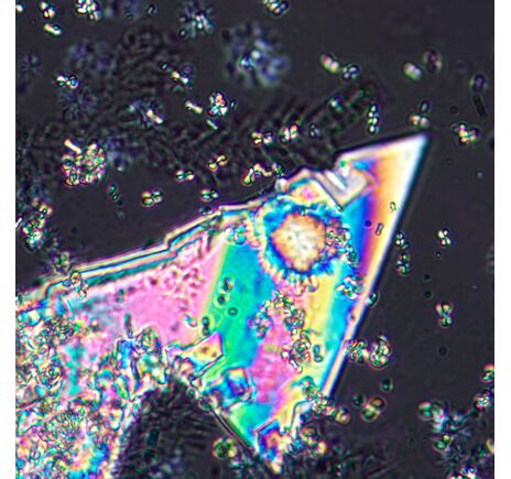 MAGUS Pol D800, image-20