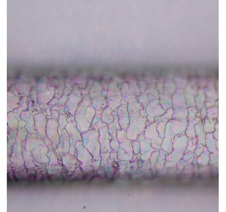 MAGUS Pol D800, image-22