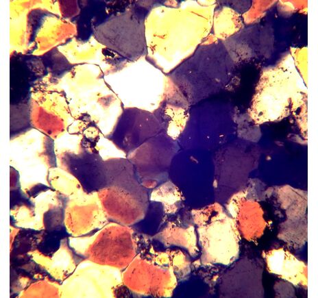 MAGUS Pol D850, image-25