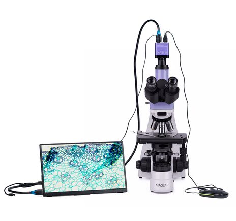 MAGUS Bio D230TL LCD, image-5