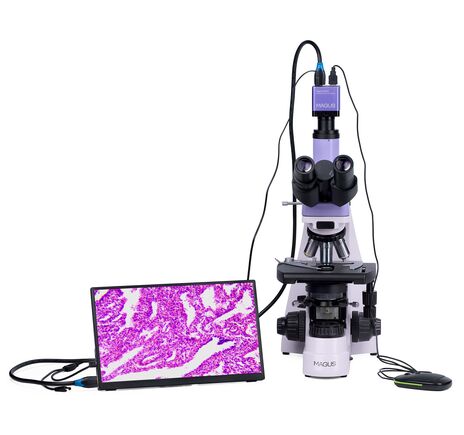 MAGUS Bio D250T LCD, image-6